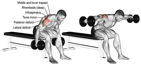 a man doing squats on a bench with dumbbells