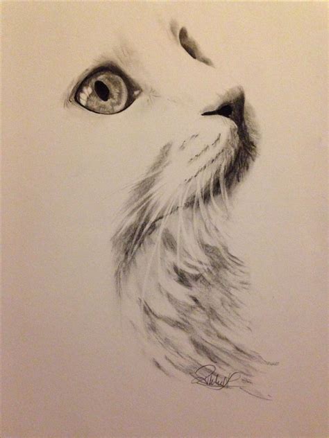 Pin on Colouring | Cat art, Charcoal art, Sketches