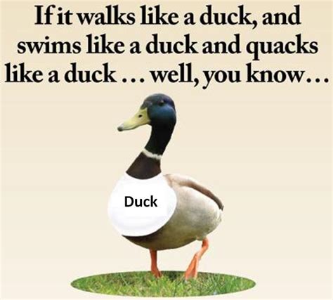 Like A Duck Quotes. QuotesGram