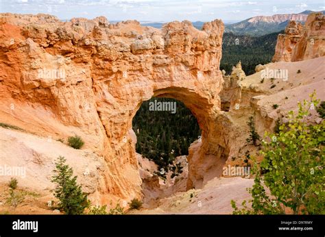 Stone formations and hoodoos at Bryce Canyon National Park Stock Photo ...