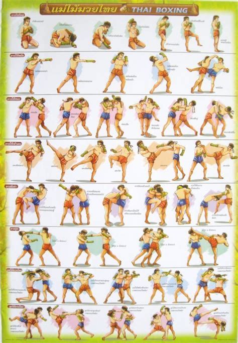 Muay Thai techniques | Martial arts techniques, Martial arts, Muay thai ...