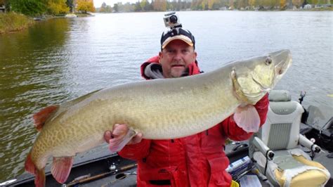 Indiana Musky Fishing Charters - Webster Lake Fishing Guides | Webster ...