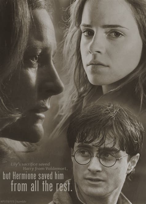 Harmony ♥ - Harry and Hermione Fan Art (32140612) - Fanpop