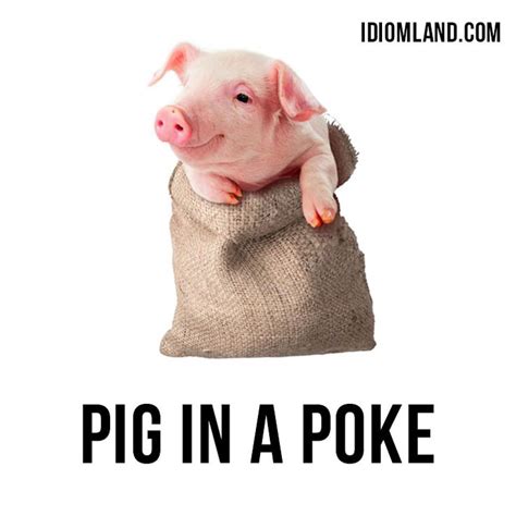 Hey there! Our #idiom of the day is ”Buy a pig in a poke”, which means “to buy something without ...