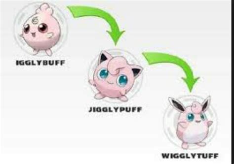 Jigglypuff Evolution | Pokémon Amino