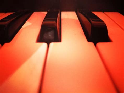 Premium Photo | Close-up of piano keys