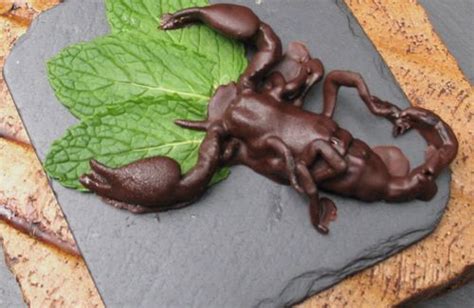 Chocolate covered scorpion | Edible insects, Bizarre foods, Yummy food