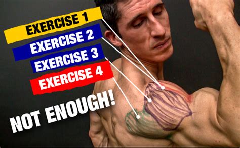 Shoulder Workout With Bands Athlean X | EOUA Blog