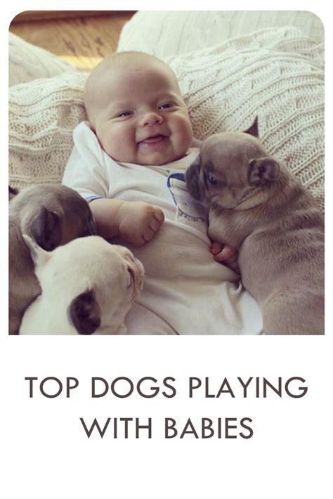 CUTE DOGS PLAYING WITH BABIES | Cute dogs, Dogs, Baby play