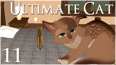 Stray Cat Simulator How To Get Kittens