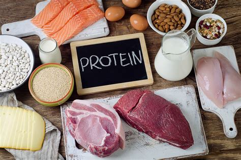 Benefits of a High Protein Diet - ActiveBeat