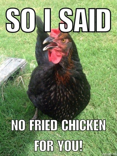 20 Chicken Memes That Are Surprisingly Funny - SayingImages.com