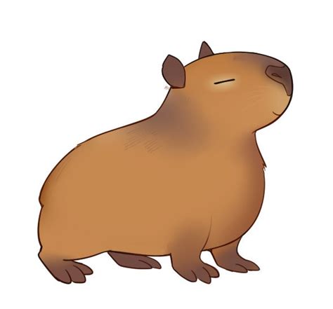 Capybara Clip Art Cute