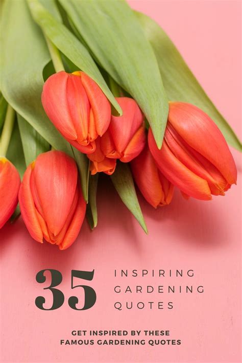 Get inspired by these famous gardening quotes and old proverbs. Read words of wisdom on plants ...