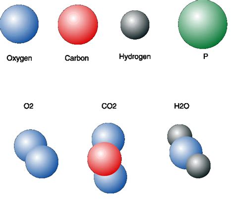 Diagram of a few common molecules.