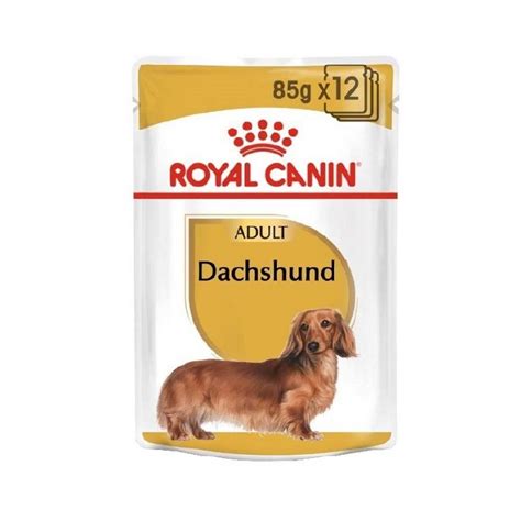 Royal Canin - Adult Dachshund Wet Food - PetPro.ae