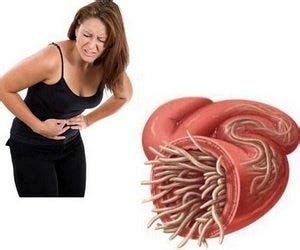 Question Asked: How do I get rid of stomach worms? | by Pooja Dixit ...