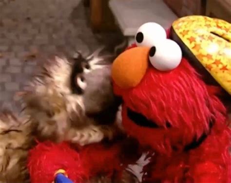 Pin by Anthony Peña on Sesame Street | Sesame street, Muppets, Inner child