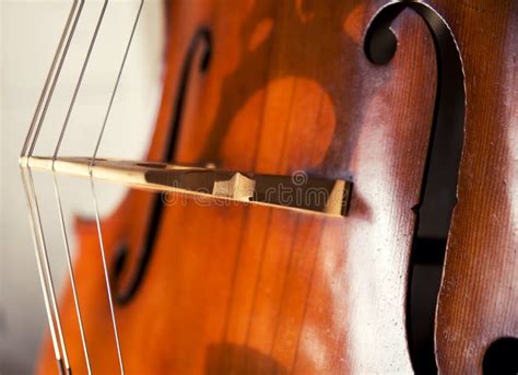 Double bass stock image. Image of sheet, cello, bassist - 159327513