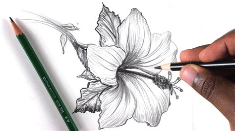 How To Draw A Flower: Step by Step In 10 Minutes - YouTube