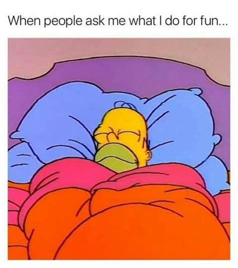 What I Like to Do for Fun Simpsons Homer Sleeping Meme Memes Humor, Funny Jokes, Fun Meme, Tv ...