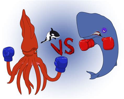 Giant squid vs Whale by Kim-sben on DeviantArt