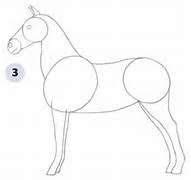 Image result for how to draw a horse head step by step | Animal drawings, Horse drawings, Horse ...
