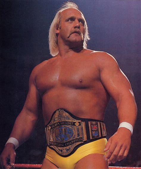 Hulkamania at Hogan’s Beach – Deano In America