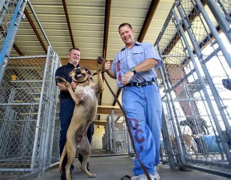 Pen Pals: Dixon Correctional Facilities Unique Program - LIFE WITH DOGS