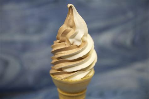 Chocolate Vanilla Swirl Soft Serve Ice Cream Delaware - Ice Cream Delight