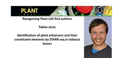 Recognizing Plant Cell authors: Tobias Jores | Plantae