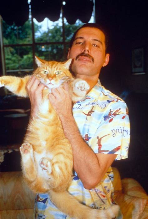 freddie mercury quotes about cats - My Pleasure Weblogs Gallery Of Images