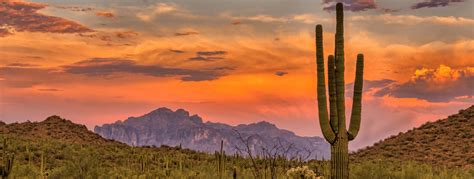 Saguaro National Park: Things to Do, Best Hiking Trails and Scenic Drive