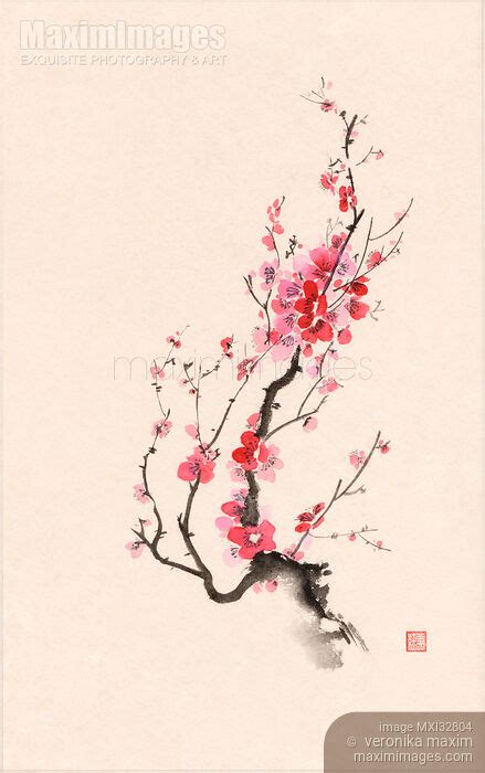 Image of Fine art Sumi-e painting of Japanese plum tree blossom or sakura branch with red and ...