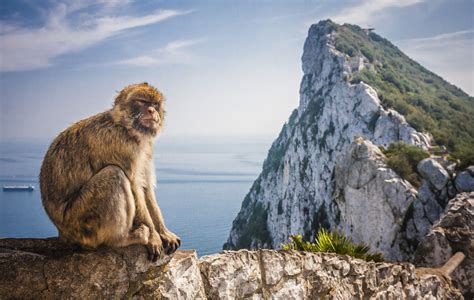 Spain steps up efforts to share control of Gibraltar after Brexit ...