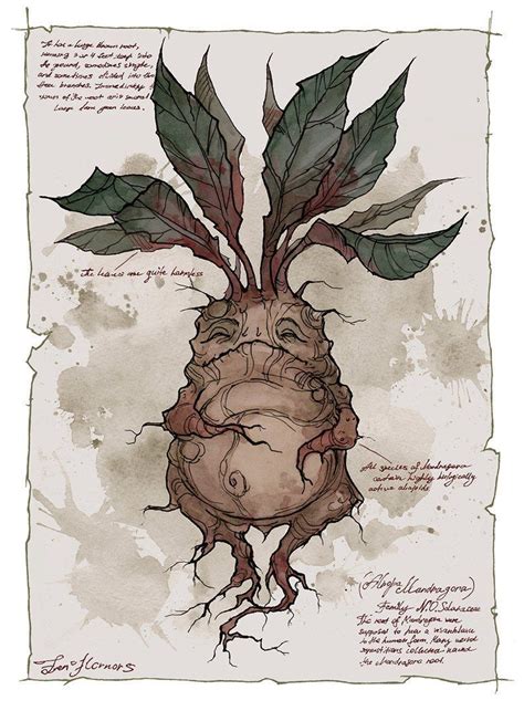 Mandrake Printable - Printable Word Searches