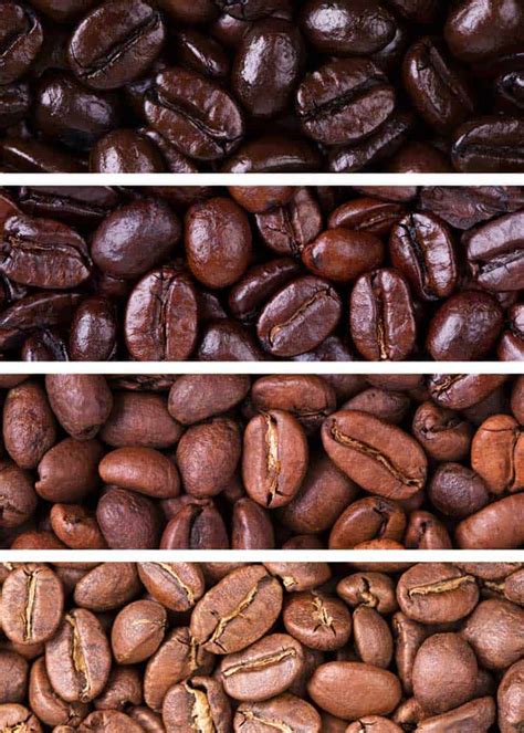 5 Types of Coffee Roasts: Flavor Profile, How to Use, Common Names ...