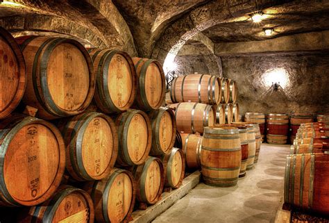 Wine Casks Photograph by Vicki Jauron