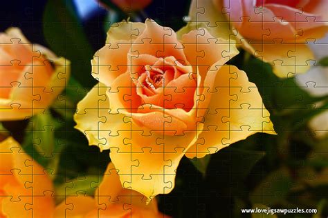 Jigsaw Puzzles Free Online Puzzle at David Skeen blog