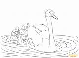 Swan And Babies Coloring Page  Free Printable Pages sketch template