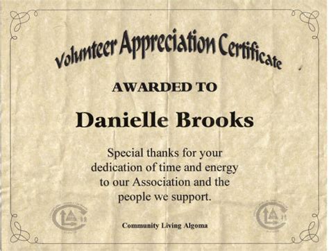 Volunteer Award Certificate Template (1) - TEMPLATES EXAMPLE | TEMPLATES EXAMPLE