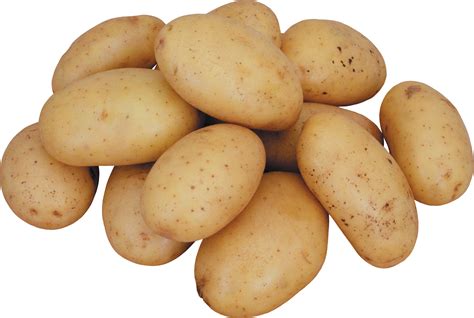 Potato PNG Image - PurePNG | Free transparent CC0 PNG Image Library