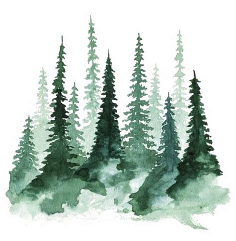 Forest PNG Transparent Images | PNG All