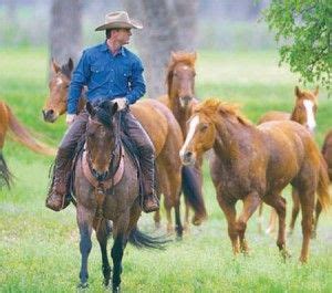 chris cox horsemanship first wife | Chris Cox Triple Creek, Horseman ...