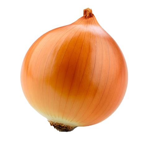 Onion Transparent File - PNG Play