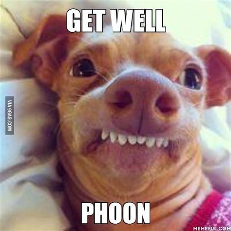 Get Well Soon Meme Dog