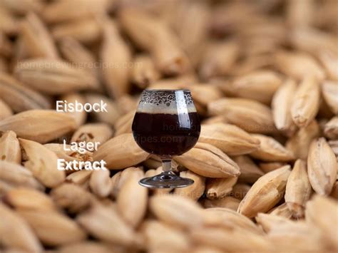 Eisbock 5 Gallon Extract | Home Brewing Recipes