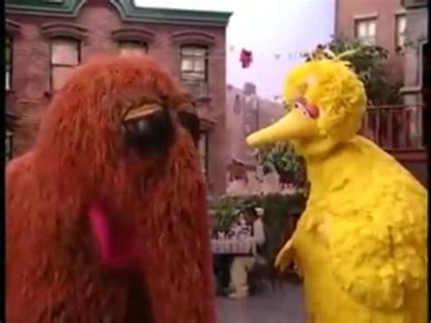 Big Bird and Snuffy in The Street We Live On! | Big bird, Sesame street, Muppets