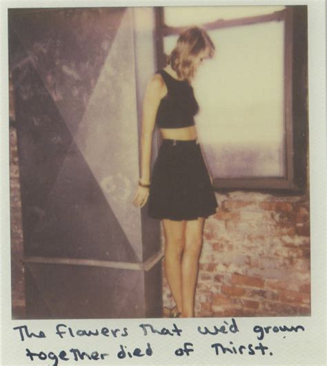 Taylor Swift 1989 Polaroids Collage