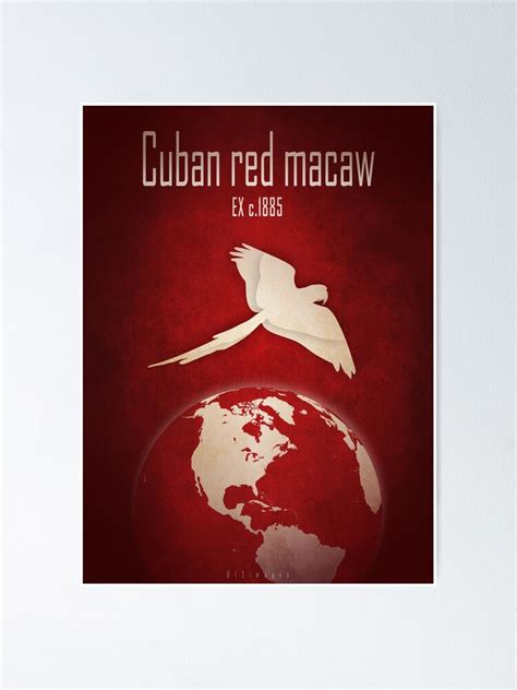 "Cuban macaw - extinct animals" Poster by 12images | Redbubble